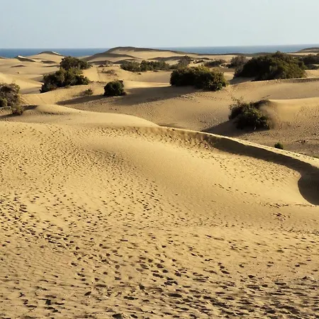 Pedro's House With Fantastic Views *